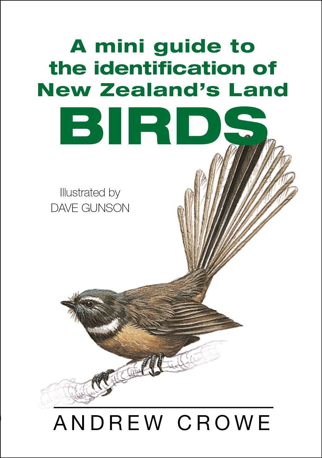 A mini guide to the identification of New Zealand's land BIRDS