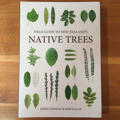 Field Guide to New Zealand's Native Trees
