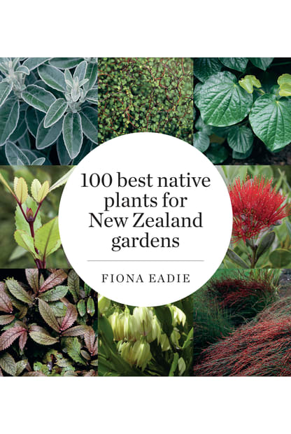 100 Best Native Plants for New Zealand