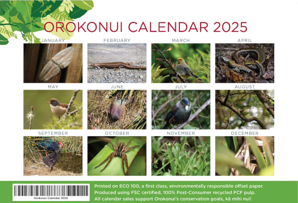 Orokonui Calendar - Image 2