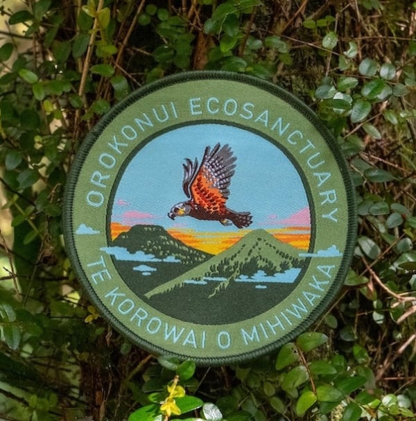 Orokonui Patch