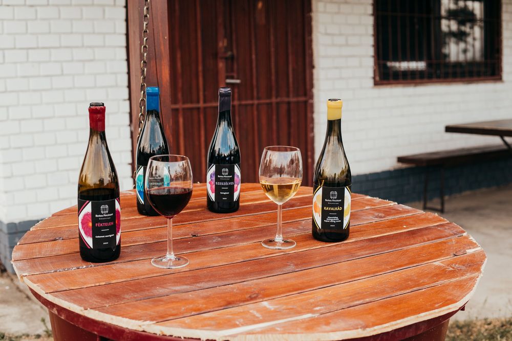 Borászat illusztráció 3