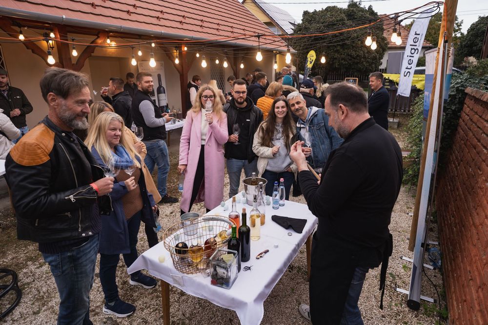 Borászat illusztráció 4