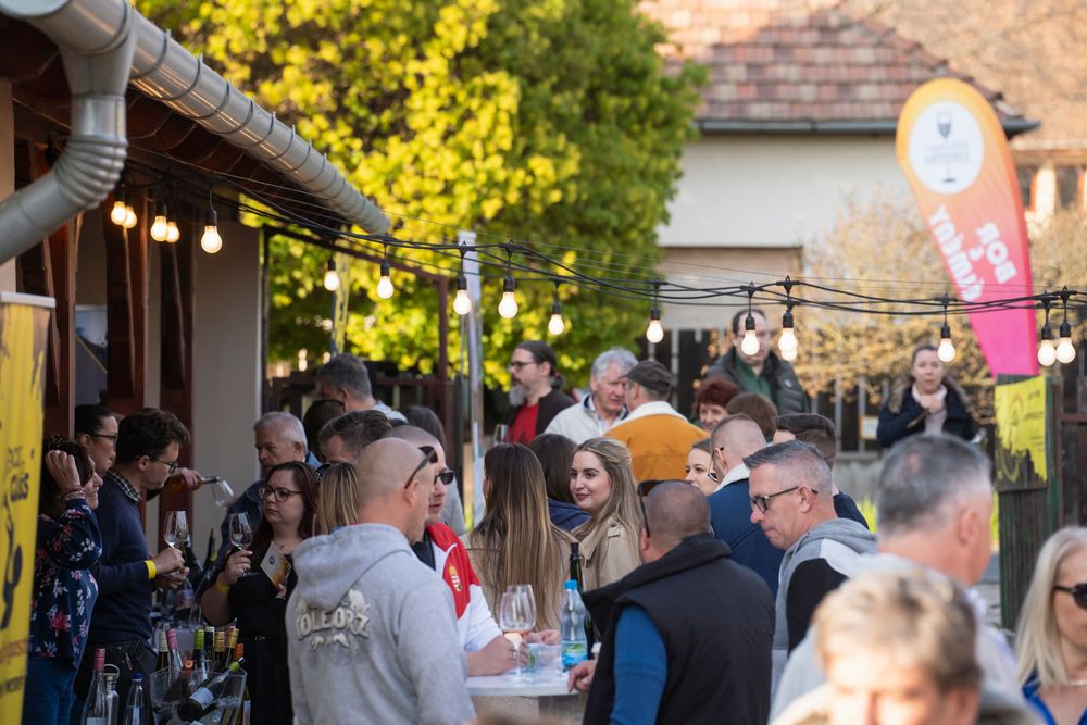 Borászat illusztráció 2