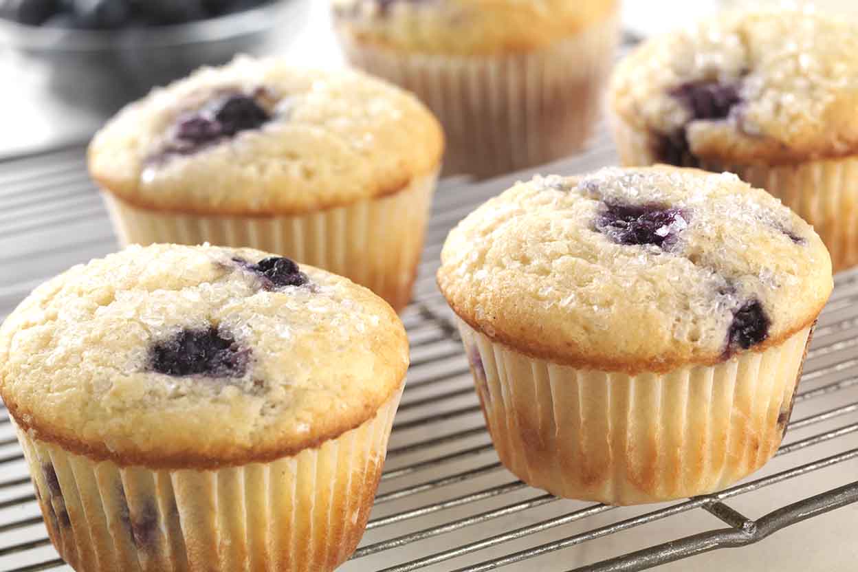 Fat Free Blueberry Muffins Kosher Recipes Ou Kosher Certification Ou Kosher Certification