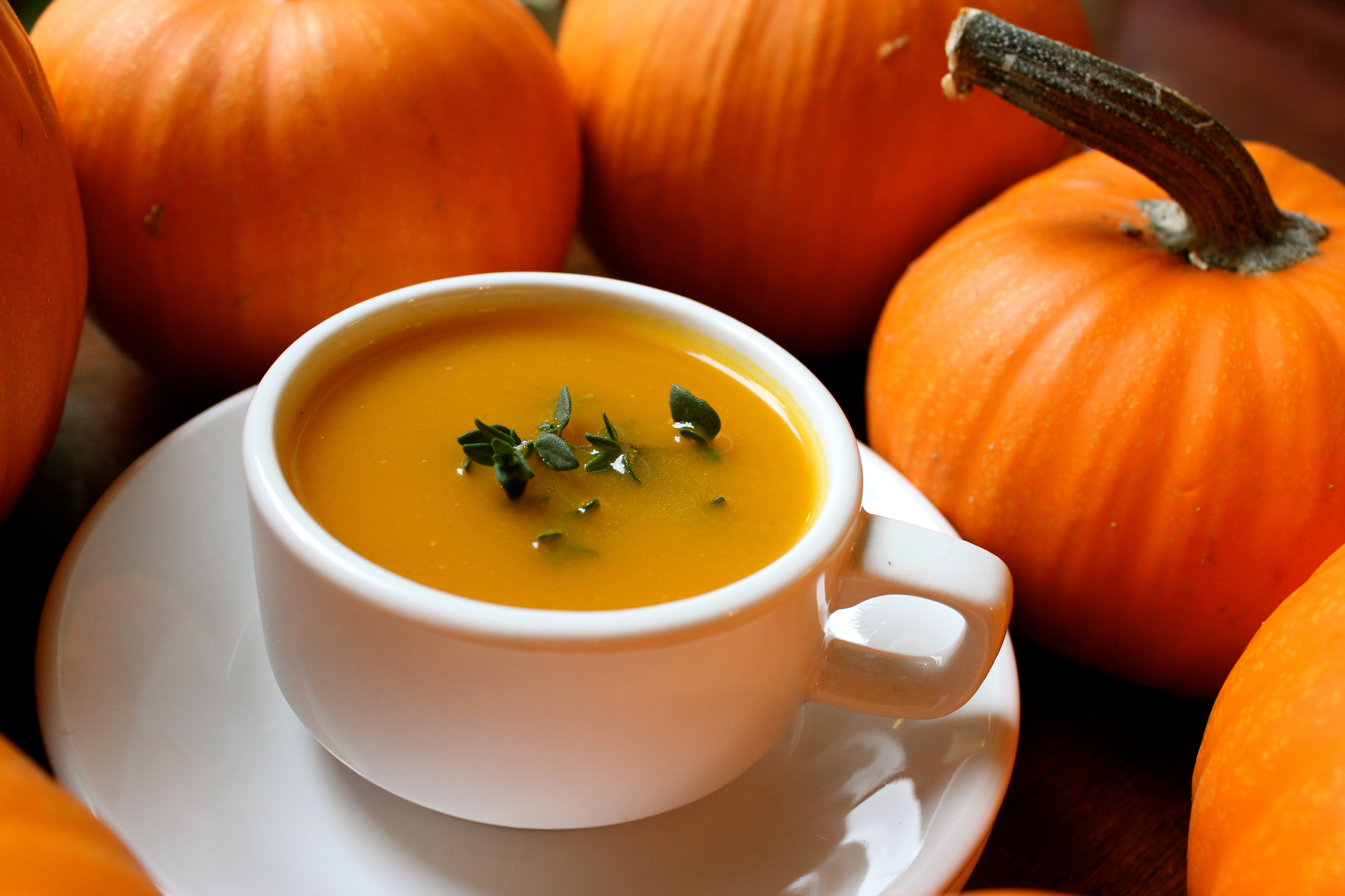 Spicy Pumpkin Soup Kosher Recipes OU Kosher Certification OU spicy-pumpkin-soup-kosher-recipes-ou-kosher-certification-ou
