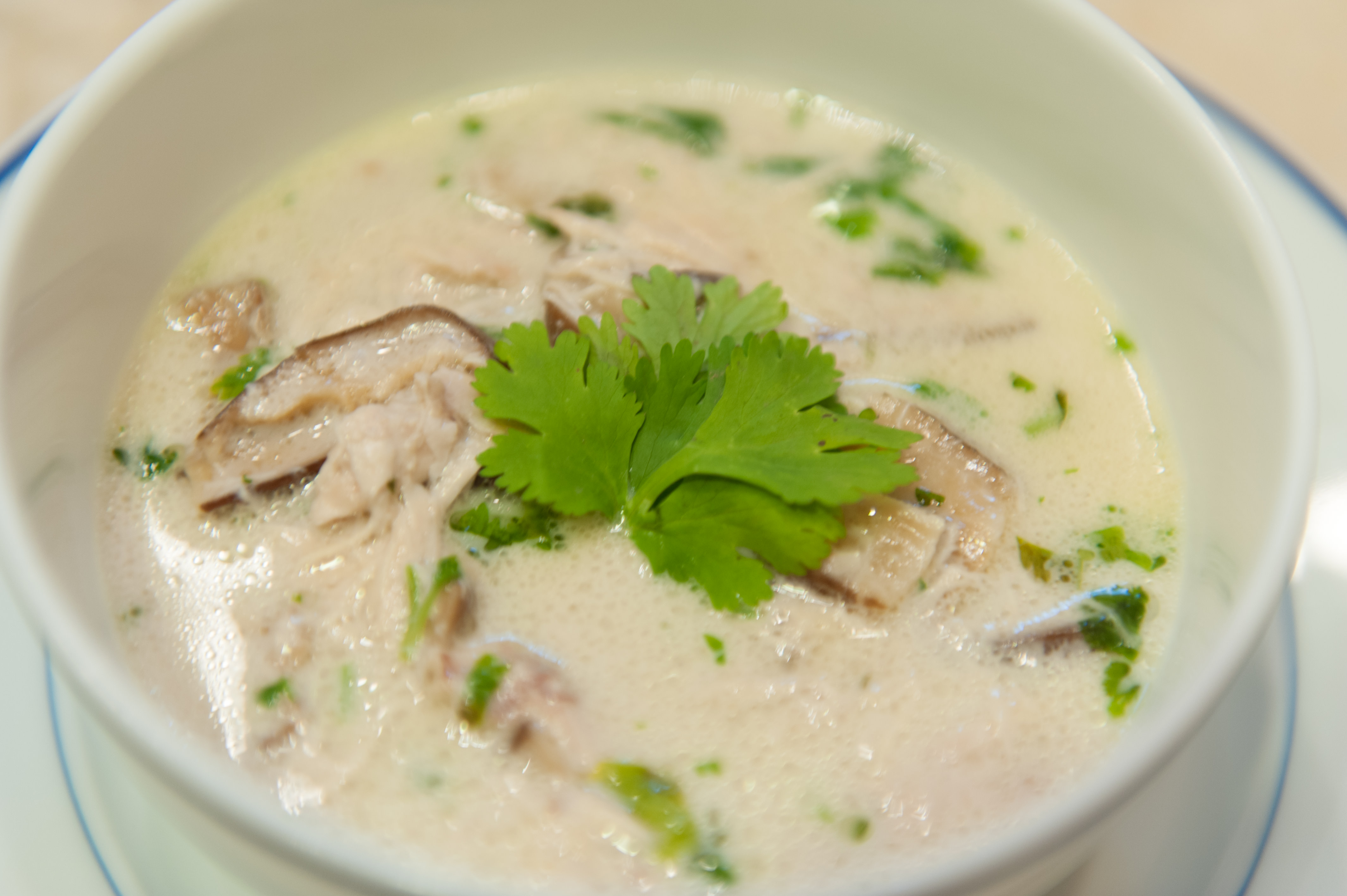 kosher chicken soup