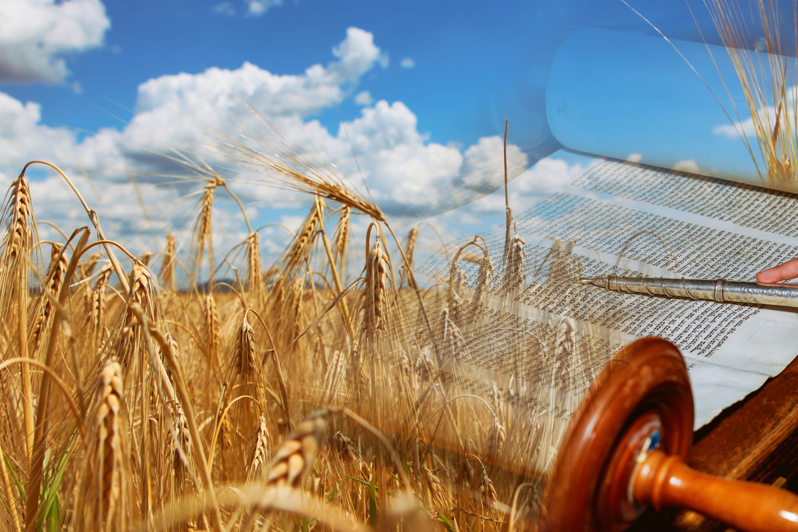 Shavuot 5785