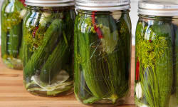 Marinirte Ugerkehs (Ashkenazic Dill Pickles)  – Kosher Recipes | OU Kosher Certification – OU Kosher Certification