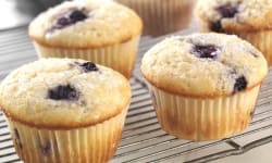 Fat Free Blueberry Muffins – Kosher Recipes | OU Kosher Certification – OU Kosher Certification