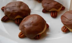 Snappy Turtle Cookies – Kosher Recipes | OU Kosher Certification