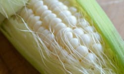 Chilled White Corn Soup – Kosher Recipes | OU Kosher Certification
