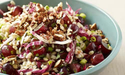 Pecan Barley Salad – Kosher Recipes | OU Kosher Certification – OU Kosher Certification