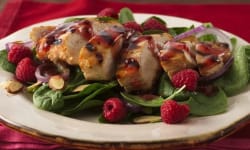 Raspberry Pecan Chicken Salad with Homemade Raspberry Vinaigrette – Kosher Recipes | OU Kosher Certi