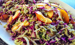 Asian Nectarine Slaw – Kosher Recipes | OU Kosher Certification – OU Kosher Certification