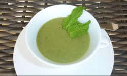 Cold Cucumber Soup  – Kosher Recipes | OU Kosher Certification – OU Kosher Certification