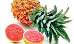 Tropical Rum Punch  – Kosher Recipes | OU Kosher Certification – OU Kosher Certification