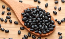 Lauren’s Black Bean Salad – Kosher Recipes | OU Kosher Certification – OU Kosher Certification