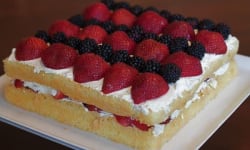 Coco Berry Tiramisu – Kosher Recipes | OU Kosher Certification – OU Kosher Certification