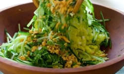 Cabbage Salad with Cucumbers, Peanuts and Cilantro – Kosher Recipes | OU Kosher Certification – OU K