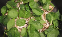 Spinach Bean Sprout Salad – Kosher Recipes | OU Kosher Certification – OU Kosher Certification