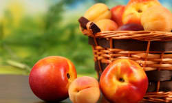 Stir-Fried Nectarines – Kosher Recipes | OU Kosher Certification – OU Kosher Certification