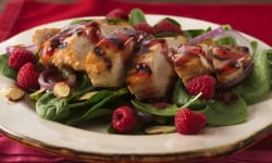 Raspberry Pecan Chicken Salad with Homemade Raspberry Vinaigrette – Kosher Recipes | OU Kosher Certi