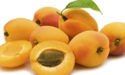 Apricot Coconut Filling – Kosher Recipes | OU Kosher Certification – OU Kosher Certification