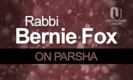 Natural Science Confronts Torah - Rabbi Fox on Parsha - OU Torah