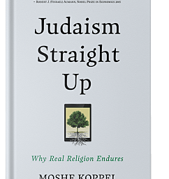 Judaism Straight Up: Why Real Religion Endures