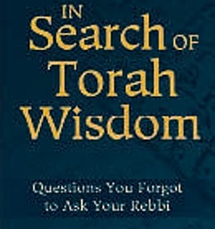 In Search of Torah Wisdom: Questions You Forgot to Ask Your Rebbi