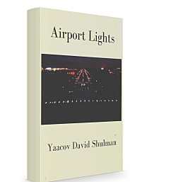 Airport Lights: Poems