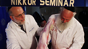 Have Birds, Will Travel: ASK OU Spreads Its Kosher Knowledge