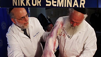 Have Birds, Will Travel: ASK OU Spreads Its Kosher Knowledge