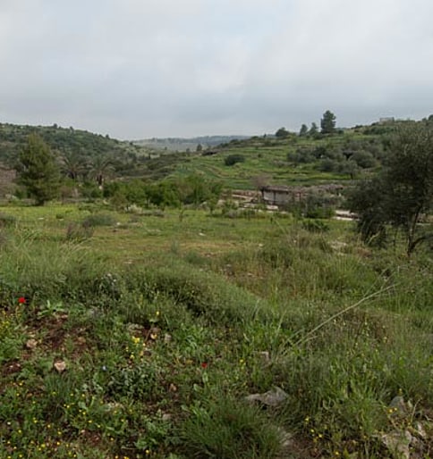 On and Off the Beaten Track in. . . NEOT KEDUMIM