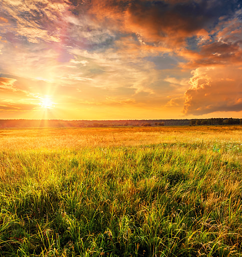 Elul: A Time of Love