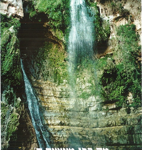 On and Off the Beaten Track in Ein Gedi
