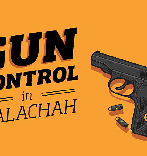 Gun Control in Halachah