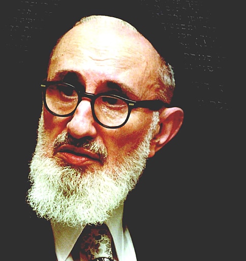 Mesorah: The Rav Speaks