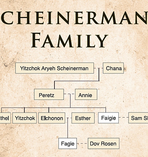 Scheinerman Family, Washington, DC; New York