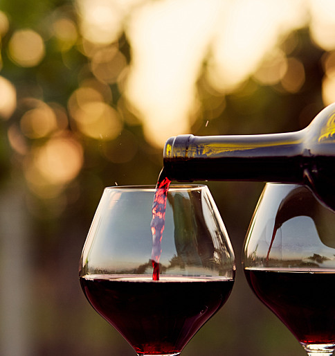 Uncorking the Secrets of Kosher Wine