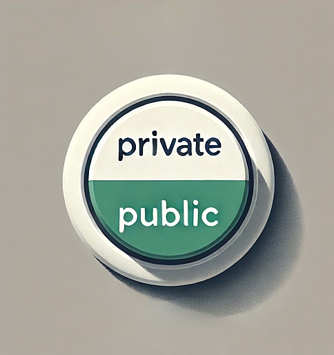 Public and Private in the Age of Instagram