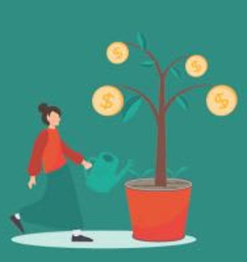 Financial Minimalism