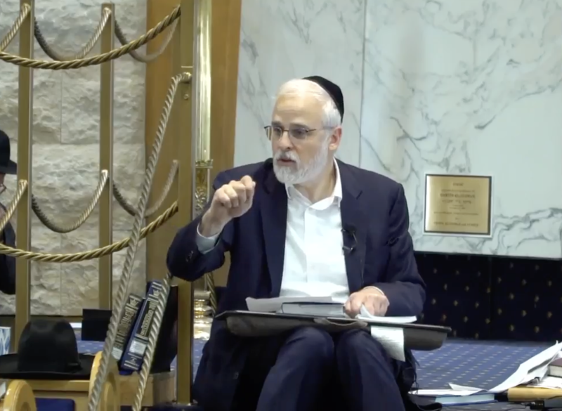 Rabbi Moshe Hauer portrait