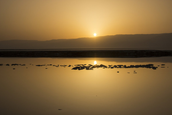 The Dead Sea Brings Forth Life