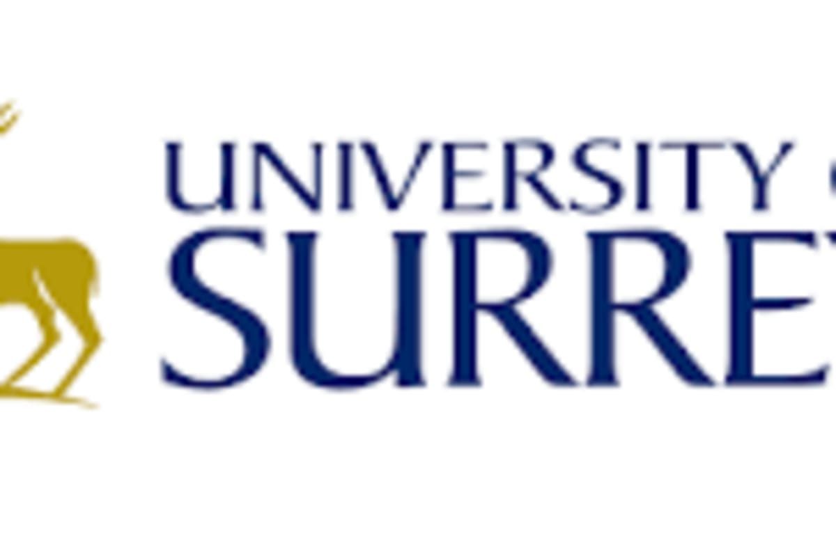 University of Surrey International Excellence Award 2026