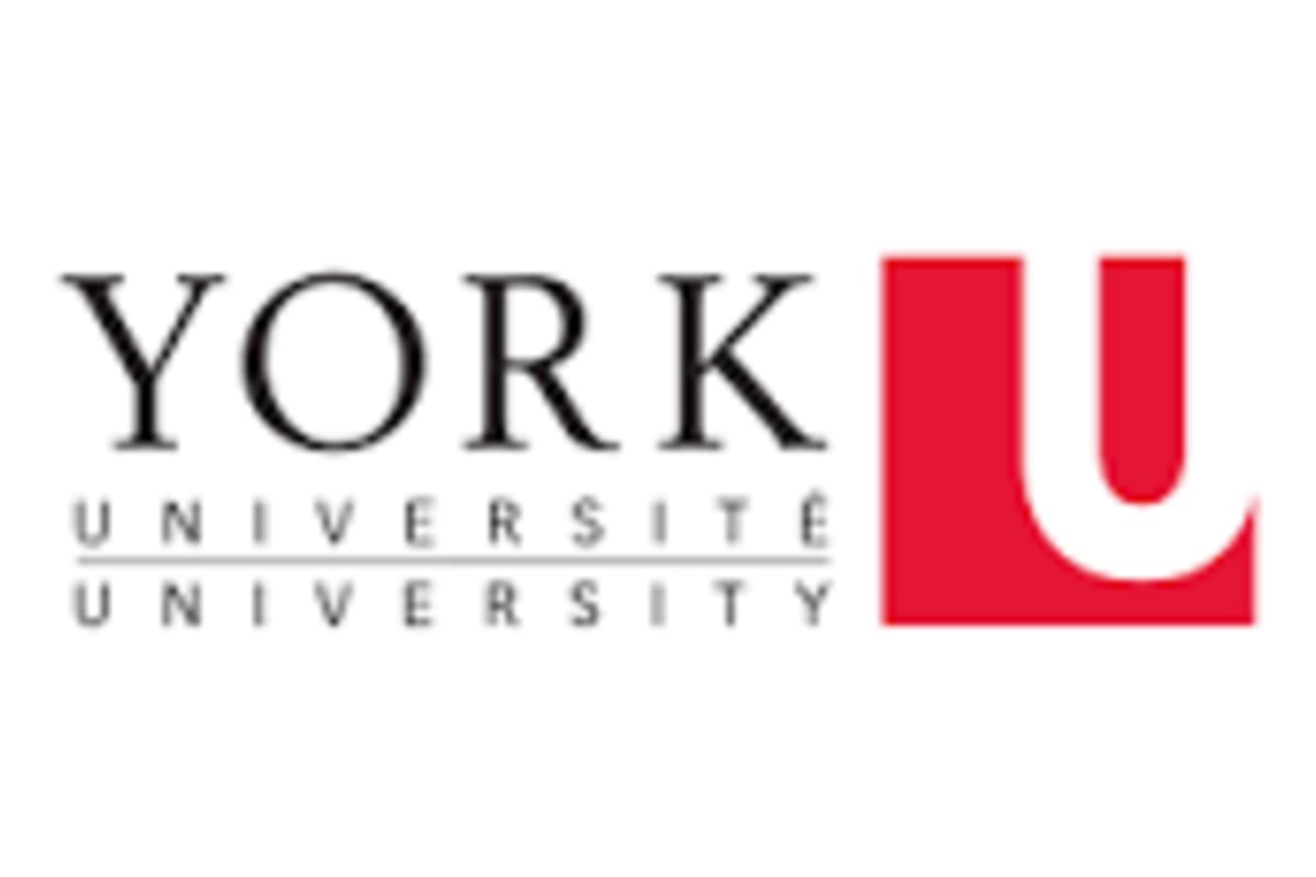 York University International Scholarship of Distinction 2027
