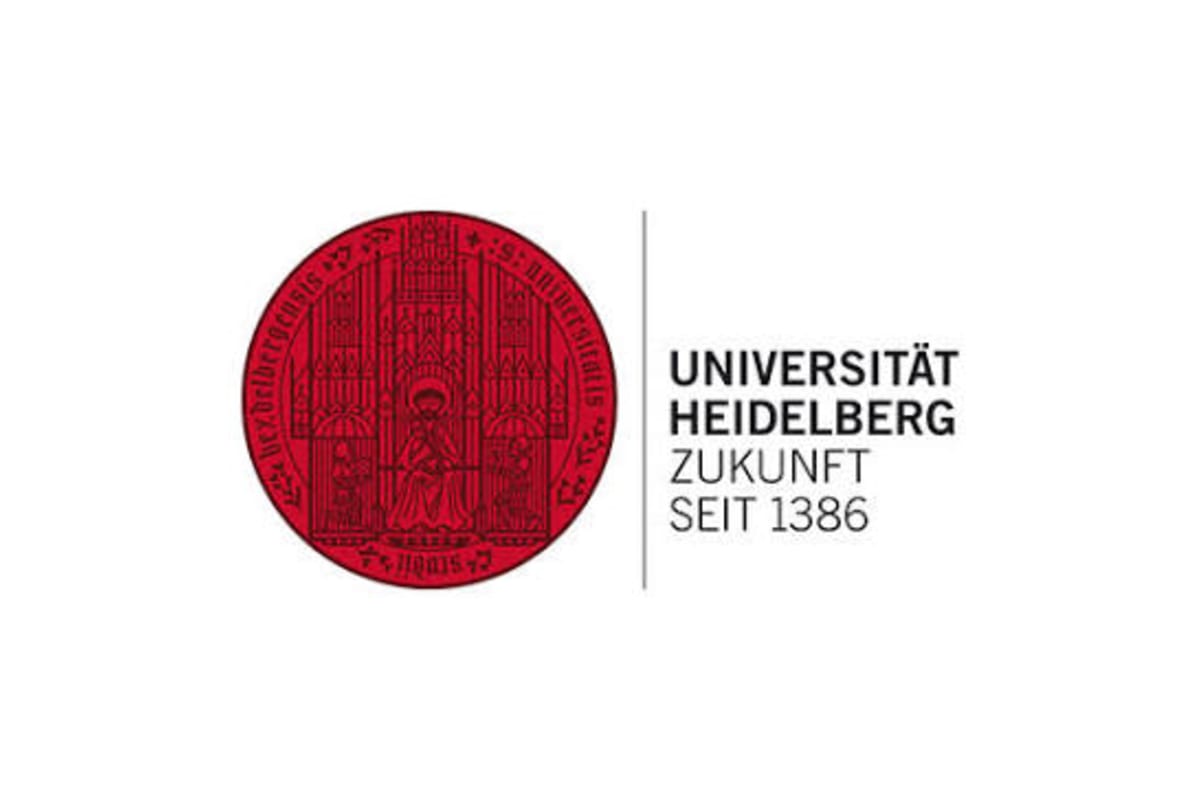 Heidelberg University DAAD/EPOS Scholarship 2027 image