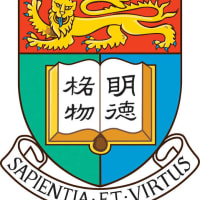 HKU Presidential PhD Scholar Programme 2027/28 logo