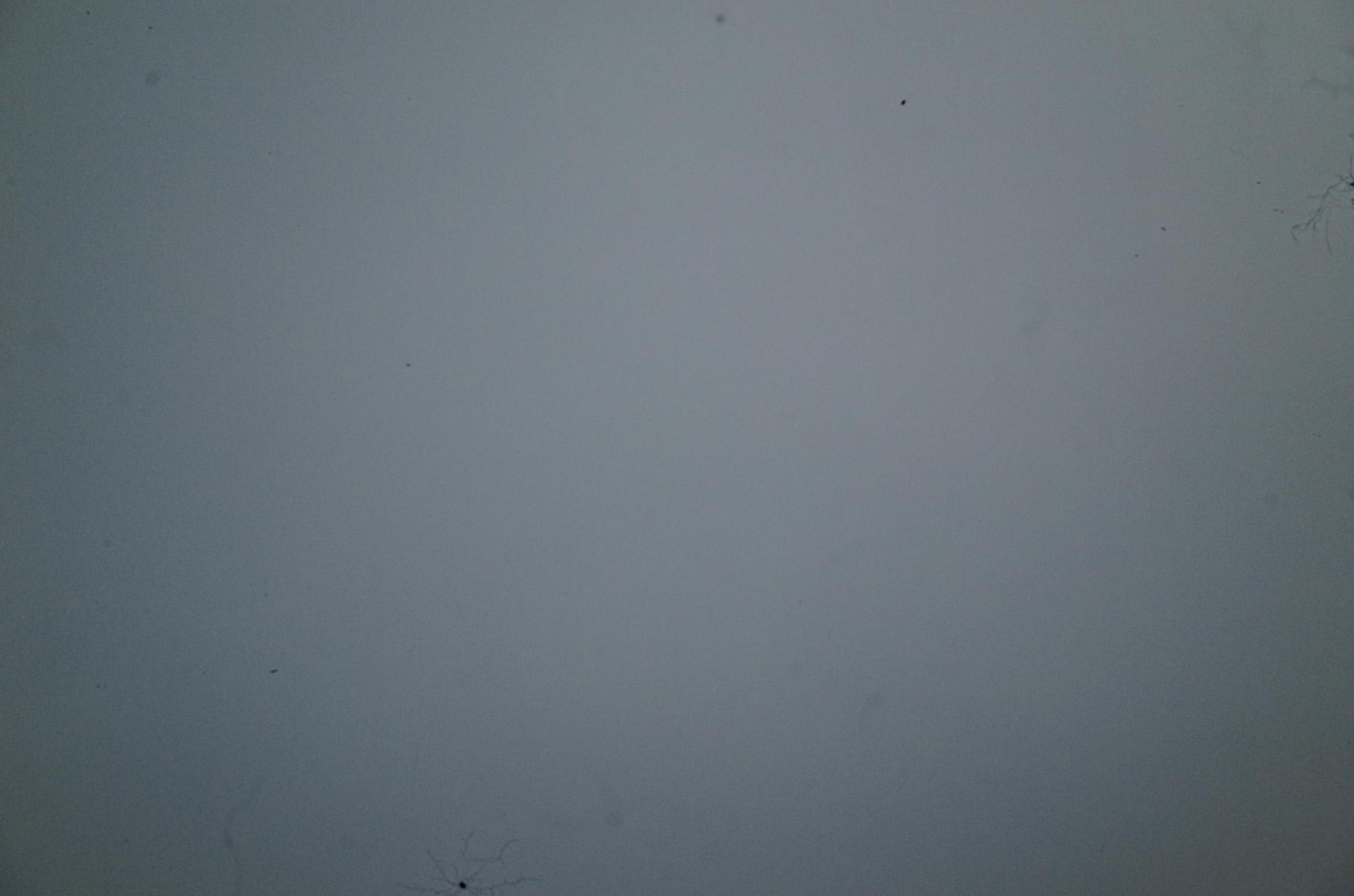 Dust on the edges